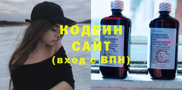 шишки Киренск