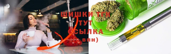 ECSTASY Алзамай