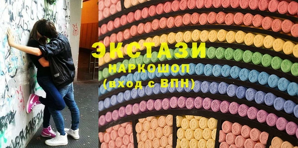 ECSTASY Алзамай