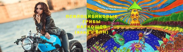 круглые Гусев
